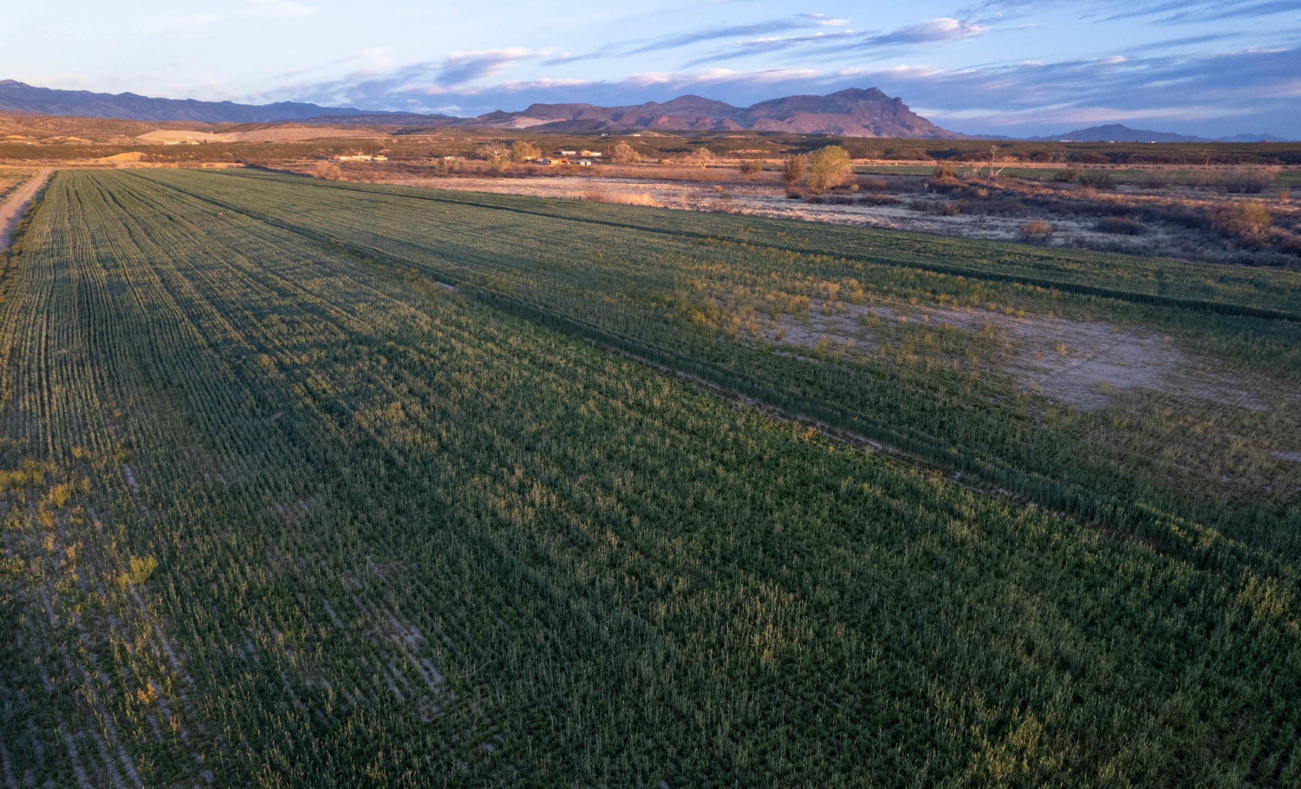 Mercer Farm Chas S. Middleton